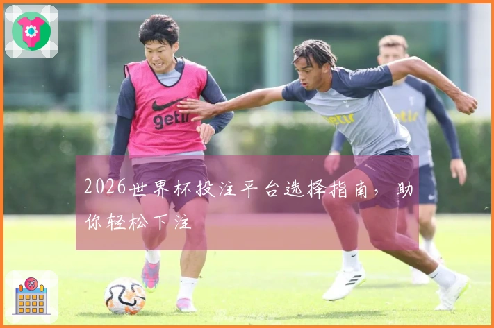 2026世界杯投注平台选择指南，助你轻松下注