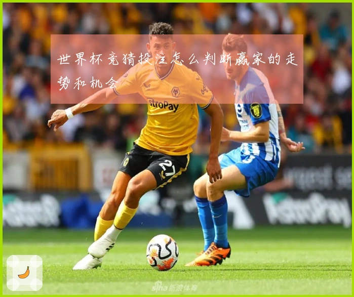 世界杯竞猜投注怎么判断赢家的走势和机会