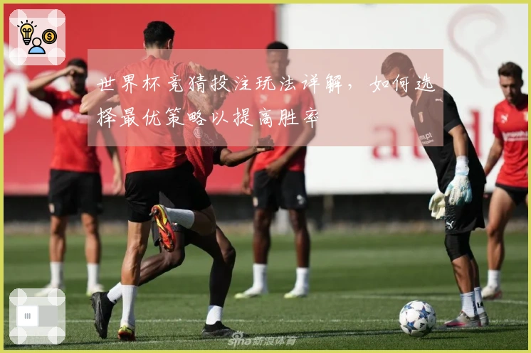 世界杯竞猜投注玩法详解，如何选择最优策略以提高胜率