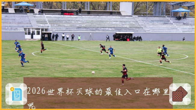 2026世界杯买球的最佳入口在哪里呢