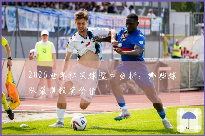 2026世界杯买球盘口分析，哪些球队最具投资价值