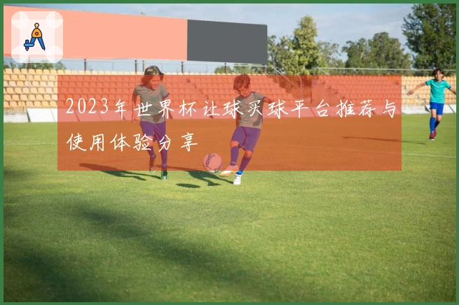 2023年世界杯让球买球平台推荐与使用体验分享